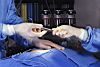 шрам рана операция бинт пульс заноза лор рентген массаж перелом ушиб гипс реанимация электрошок зуб градусник линзы астма вес смерть